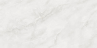 Керамогранит NT Ceramic Moonstone Onyx Light Smoke арт. NTT9459P (60x120) Полированная